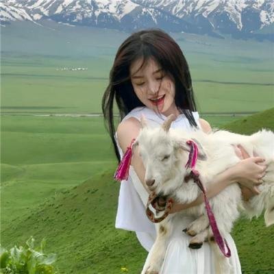 菜鸟王爷闹江湖